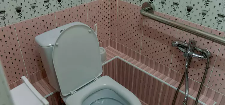 Meeting Diverse Needs With Accessible Restroom Solutions in Suffolk, VA